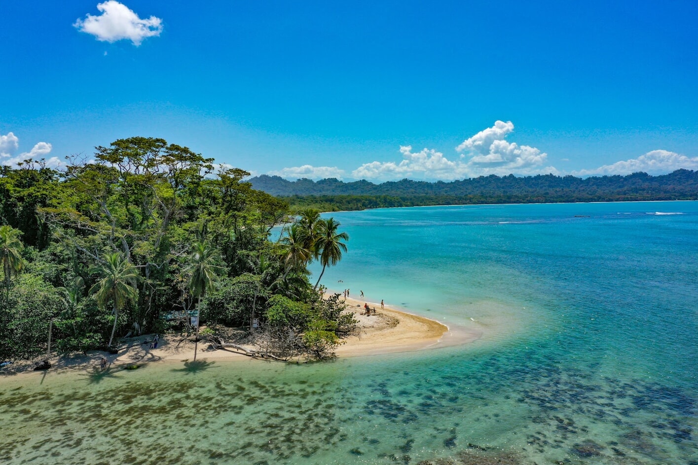 Sendero costero con palmeras y mar turquesa en Cahuita