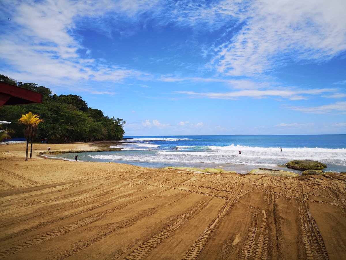 Playa caribeña de arena clara con palmeras inclinadas